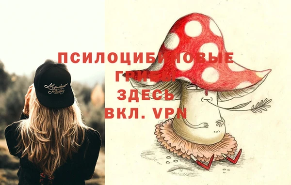 твердый Абинск