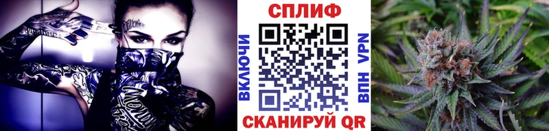 Бошки марихуана сатива  Урень 